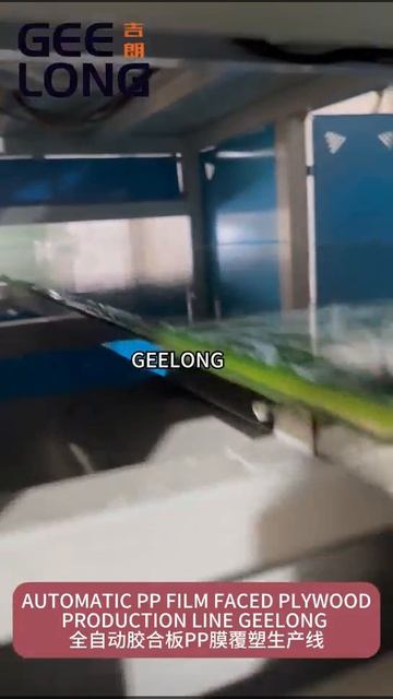 Линия по производству фанеры пп, линия по ламинированию фанеры пп пленкой смотреть онлайн