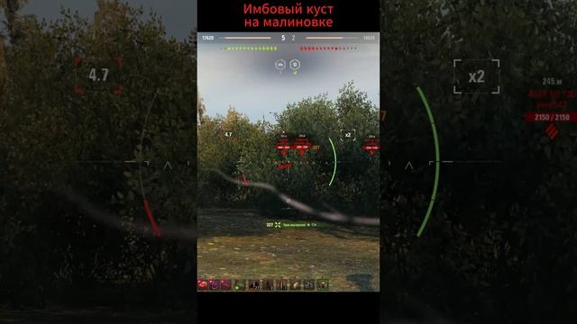 имбовый куст на карте малиновка