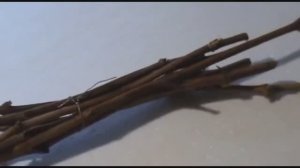 ДЛЯ ЧЕГО ВИНОГРАДАРИ ОЖИВЛЯЮТ ЧЕРЕНКИ