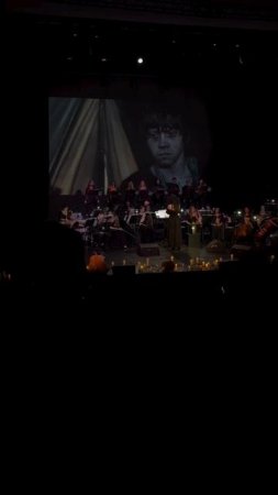 NELLA MUSICA ORCHESTRA «Гарри Поттер и Симфомультимедия»