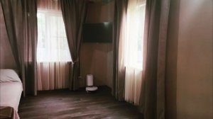 petal_20250630_131402.mp4