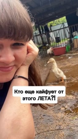 Кайфули