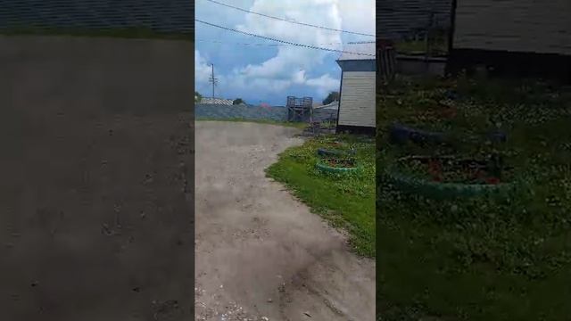 гуляем с моей собачкой