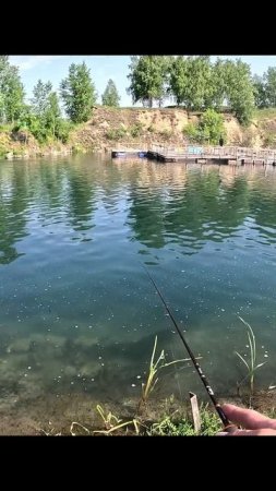 Norstream Troutist-X 642ULS #fishing #norstream #рыбалка #sports #spinning