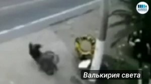 Нам продали как Ковид.