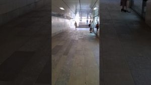 Курсы актерского мастерства Фантазия. Путь от метро. Метро Электрозаводская.