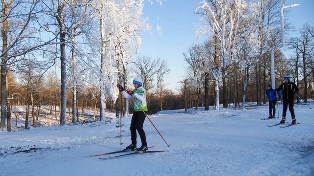 Лыжная тренировка. Тула. Лыжероллерный центр им. Веденина. смотреть онлайн