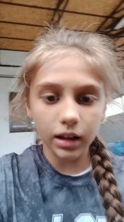 Джеси  попала   за колитку  как она там окозалась?🐕