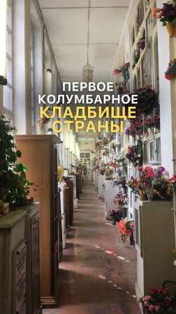 ЧТО ИНТЕРЕСНОГО В ЭТОМ КЛАДБИЩЕ ⤵️