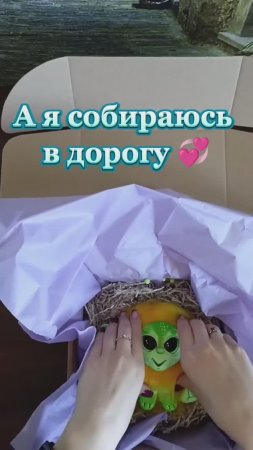 Собираюсь в дорогу