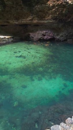 NusaPenida.Tembeling forest and beach. Natural pool.Нуса Пенида.Тембелинг  Природные бассейны и пляж