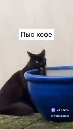 Рабочие будни