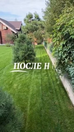 Рулонный газон укладка за 1 день #гкландшафт #рулонный газон