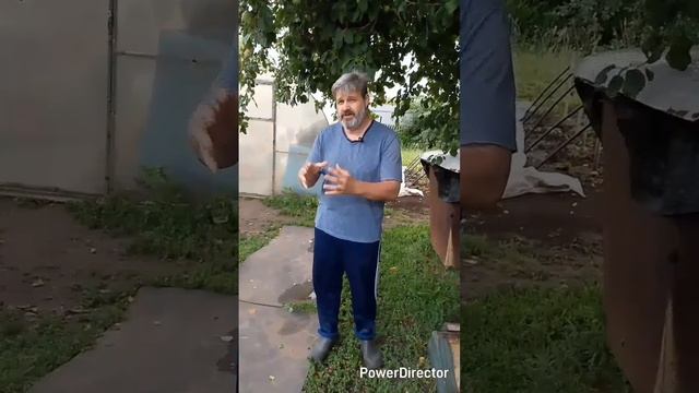 1000038485.mp4/shorts