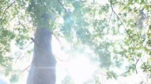 Мультфильм из радиодеталек