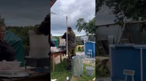 Покупки. Перепела. Рыбалка