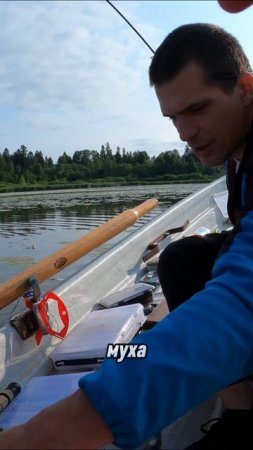 Поклёвка щуки