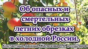 Об опасных и смертельных летних обрезках в холодной России.