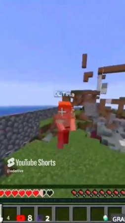 Minecraft Лучшее #1019