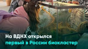 На ВДНХ открылся первый в России биокластер