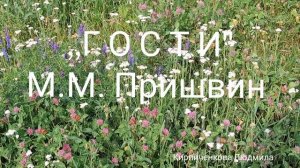 ,,Гости" М.М. Пришвин