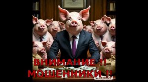 Социальные истории) отголоски майских праздников