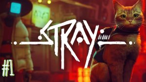 Stray Arrias стал котом ?