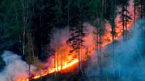 Самый опасный пожар близ поселка Атамановка удалось ликвидировать в Забайкальском крае