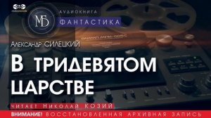 В тридевятом царстве - Александр СИЛЕЦКИЙ (читает Николай КОЗИЙ) | ФАНТАСТИКА аудиокниги слушать