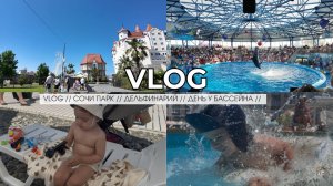 VLOG // СОЧИ ПАРК // ДЕЛЬФИНАРИЙ // ДЕНЬ У БАССЕЙНА //