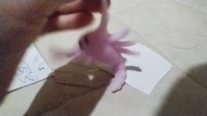 В КРАСНОМ & БЕЛОМ НАЧАЛСЯ НОВАЯ АКЦИЯ ПРО НАСЕКОМЫХ 🦋🐞🐌🐜🐛🦗🐝🦂