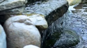 Готовый рыбный пруд с водопадом | Построено EcoPond