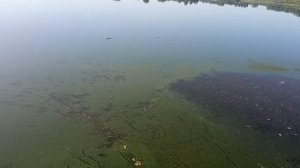 Очередная рыбалка на Озере.Уловом доволен, отвёл душу.