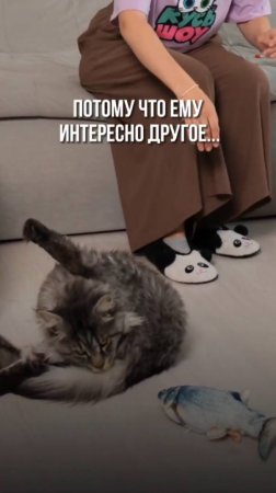 Пушистая правда жизни!