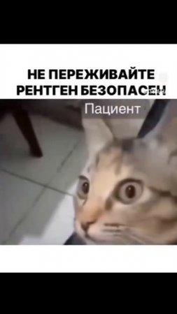 Рентген безопасен