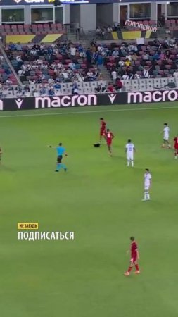 Камеру Паук сбили футбольным мячом #футбол #football