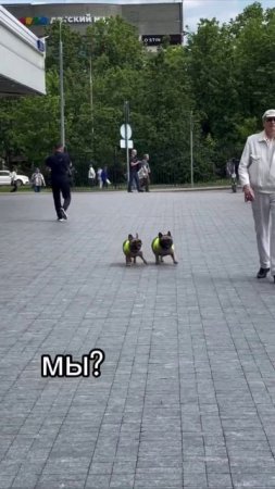 Команда