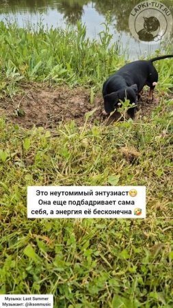 отдых на природе