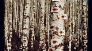 песня yungatita 7 weeks and 3 days