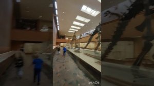 Палеонтологический музей в Москве