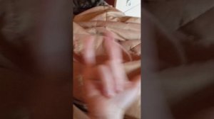 Мася Компотина KotikArsenio вылизывается KotikArsenio