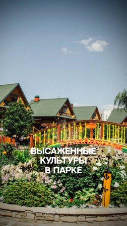 Парк Туган Авылым