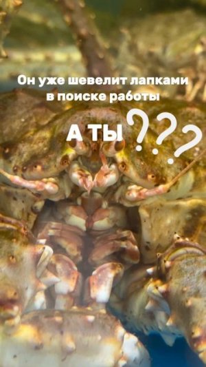 Минутка юмора