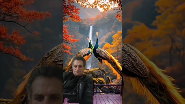 расул