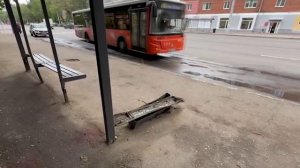 Жители просят усилить контроль за водителями в месте смертельного ДТП на улице Бекетова
