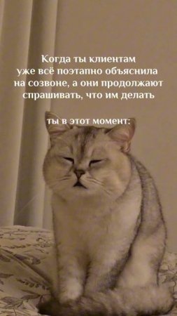 copy_ECD0651D-90E2-4CEA-862A-D09A00C93EBC