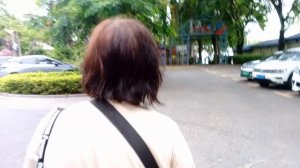 6. Утренняя прогулка
