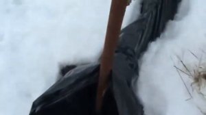 ОБЯЗАТЕЛЬНО СДЕЛАЙ ЭТО НА ВИНОГРАДЕ ЗИМОЙ