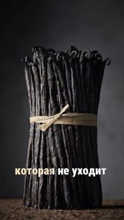 Самый красивый женский парфюм