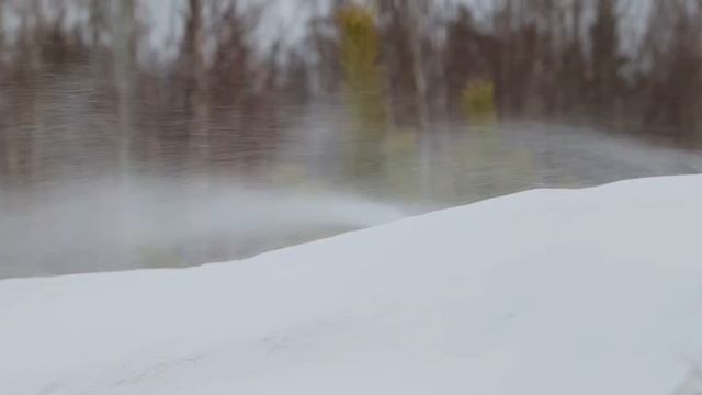 Новая рубрика — «Мой поэт»!